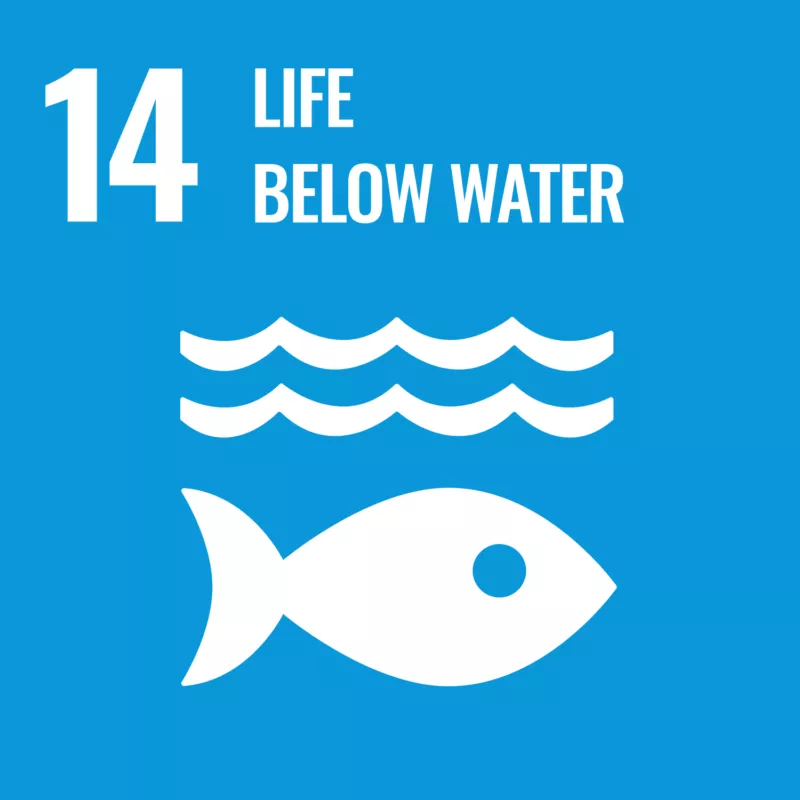 Sustainable Development Goal: Life Below Water